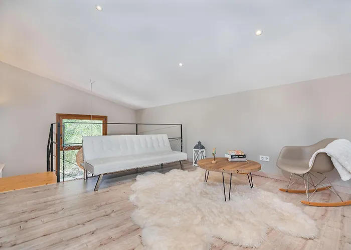 Punxa Siquier * Pollenca