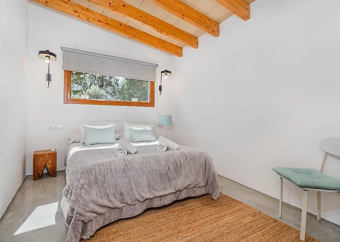 Punxa Siquier Pollenca